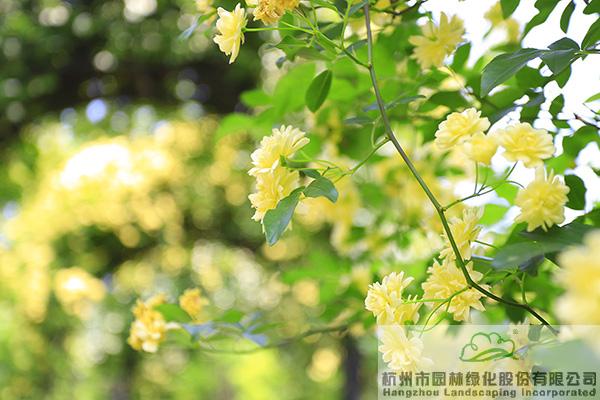 彩运网(中国游)官方网站