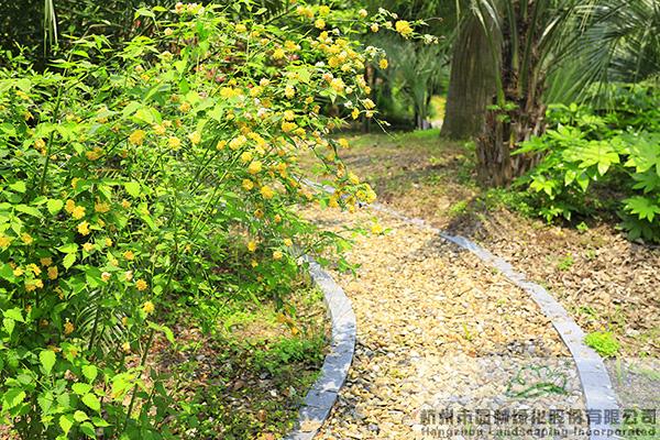 彩运网(中国游)官方网站