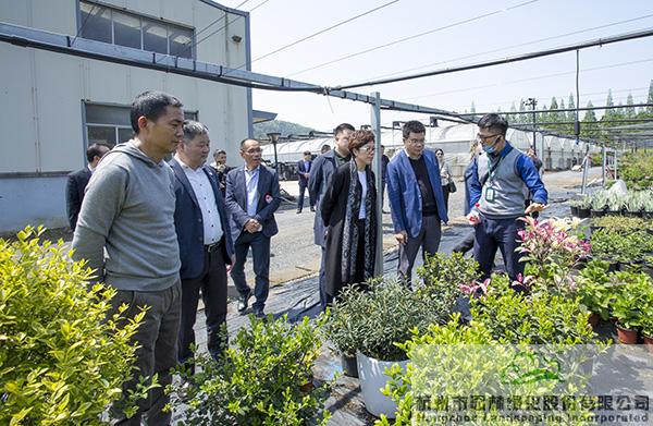 彩运网(中国游)官方网站