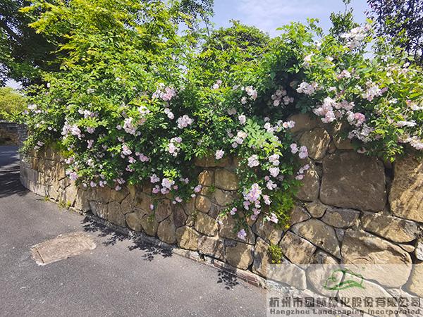 彩运网(中国游)官方网站