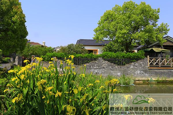 彩运网(中国游)官方网站