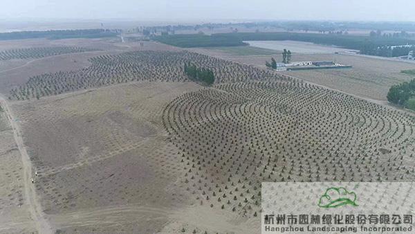 彩运网(中国游)官方网站