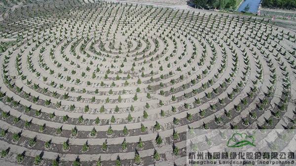 彩运网(中国游)官方网站