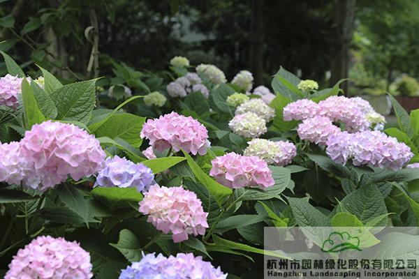 彩运网(中国游)官方网站