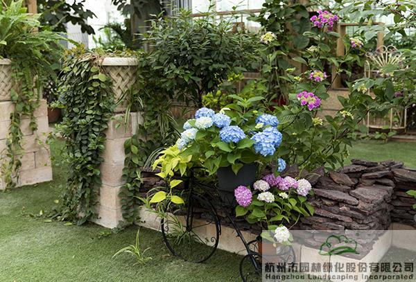 彩运网(中国游)官方网站