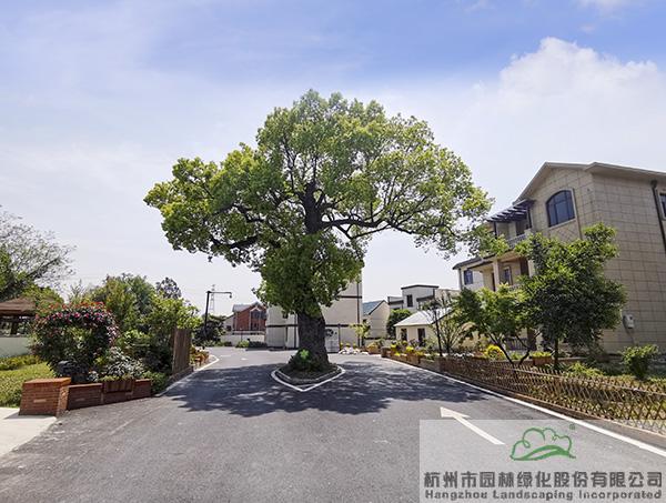 彩运网(中国游)官方网站