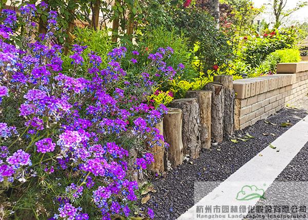 彩运网(中国游)官方网站