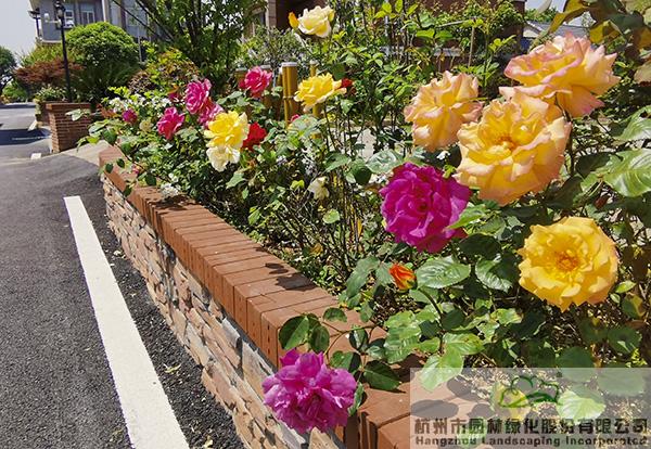 彩运网(中国游)官方网站