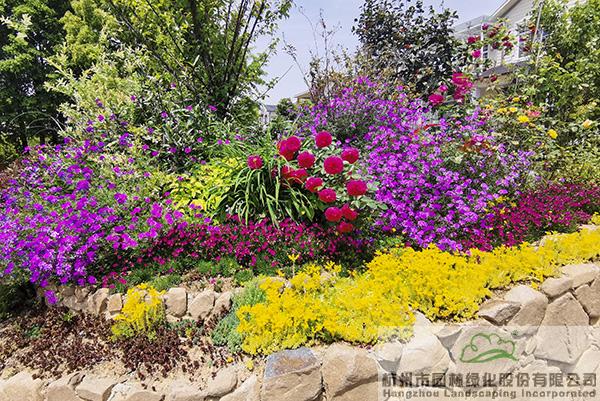 彩运网(中国游)官方网站