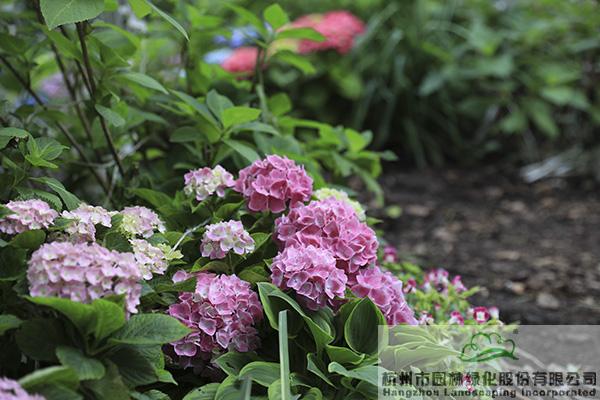 彩运网(中国游)官方网站