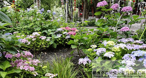 彩运网(中国游)官方网站