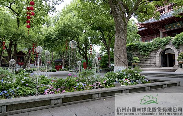 彩运网(中国游)官方网站