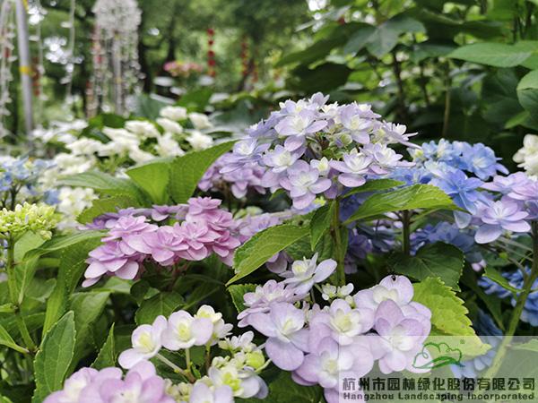 彩运网(中国游)官方网站