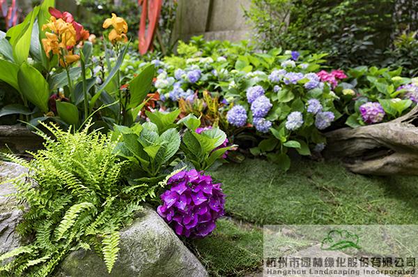 彩运网(中国游)官方网站