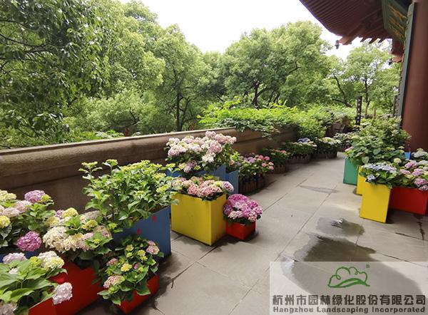 彩运网(中国游)官方网站