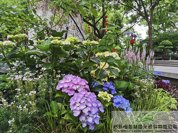 彩运网(中国游)官方网站