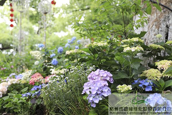 彩运网(中国游)官方网站