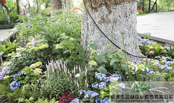 彩运网(中国游)官方网站