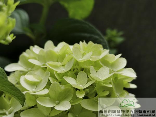 彩运网(中国游)官方网站