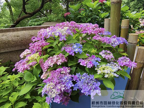 彩运网(中国游)官方网站