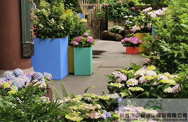 彩运网(中国游)官方网站