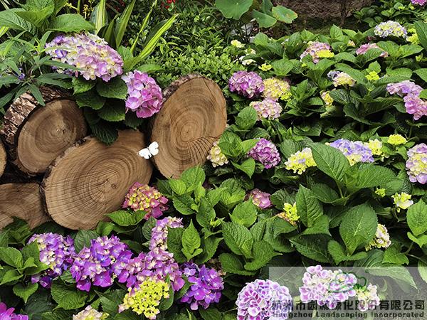 彩运网(中国游)官方网站