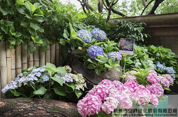 彩运网(中国游)官方网站