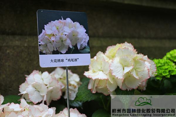 彩运网(中国游)官方网站