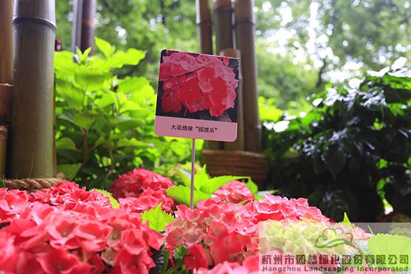 彩运网(中国游)官方网站