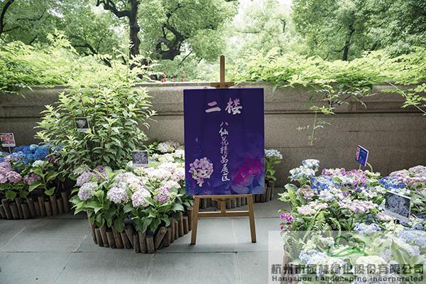 彩运网(中国游)官方网站