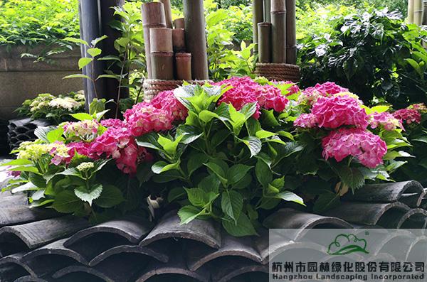 彩运网(中国游)官方网站