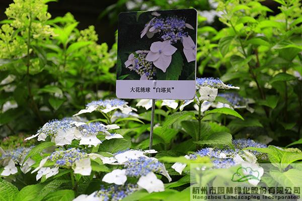 彩运网(中国游)官方网站