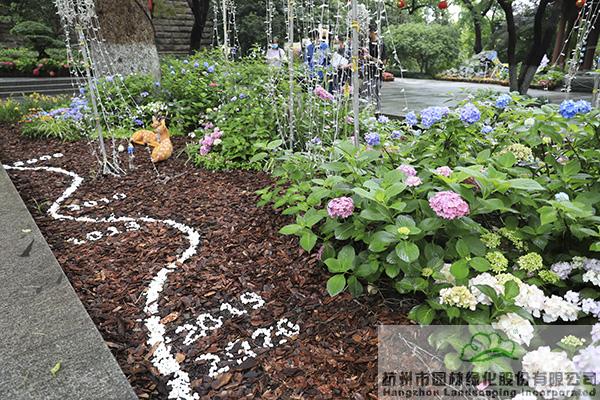 彩运网(中国游)官方网站