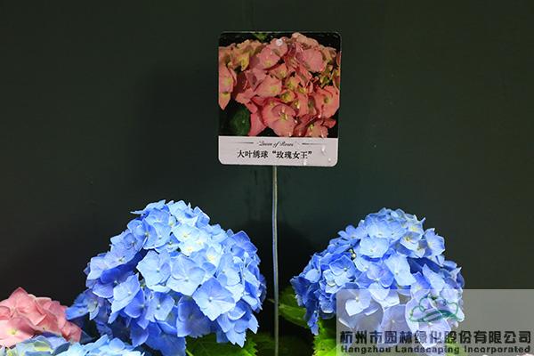 彩运网(中国游)官方网站