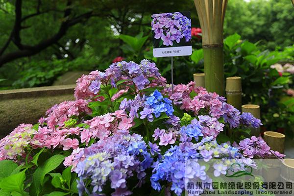 彩运网(中国游)官方网站