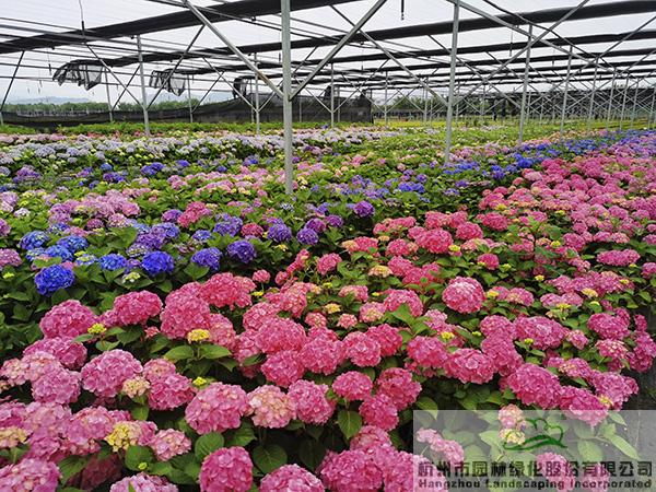 彩运网(中国游)官方网站