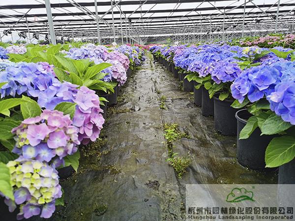 彩运网(中国游)官方网站