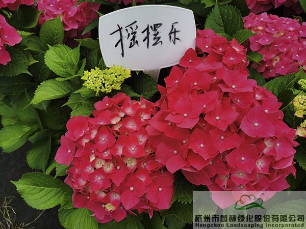 彩运网(中国游)官方网站