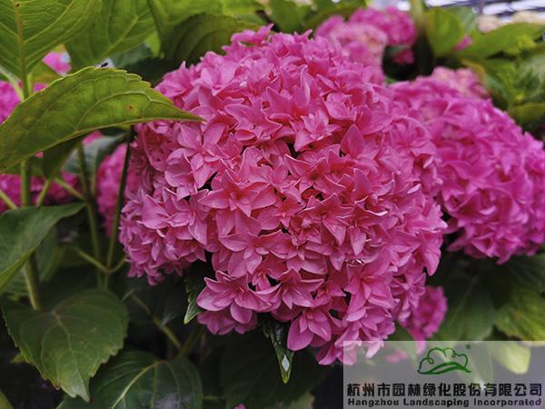 彩运网(中国游)官方网站