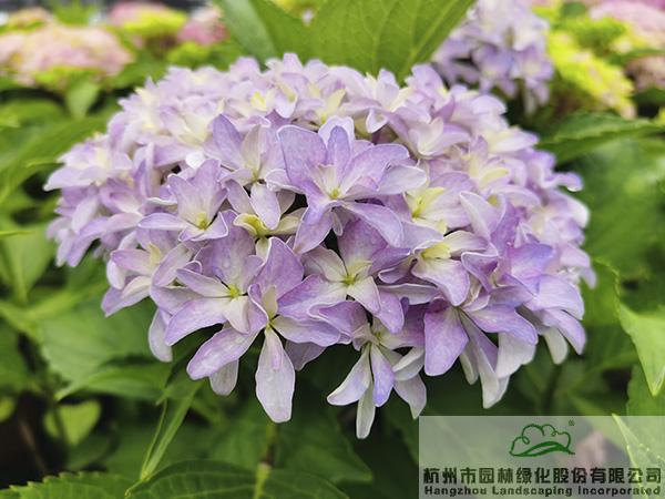 彩运网(中国游)官方网站