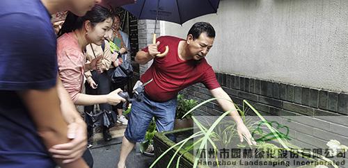 彩运网(中国游)官方网站