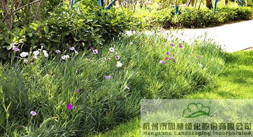 彩运网(中国游)官方网站