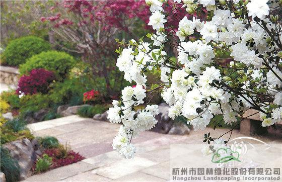 彩运网(中国游)官方网站