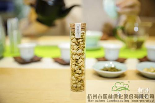 彩运网(中国游)官方网站