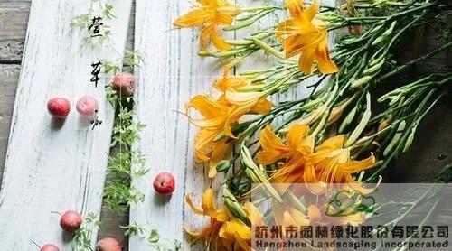 彩运网(中国游)官方网站