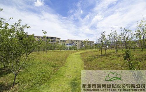 彩运网(中国游)官方网站