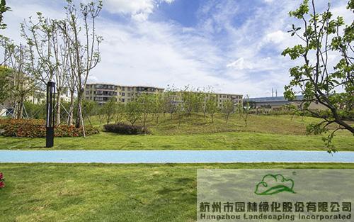 彩运网(中国游)官方网站