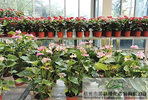 彩运网(中国游)官方网站