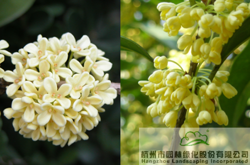 彩运网(中国游)官方网站