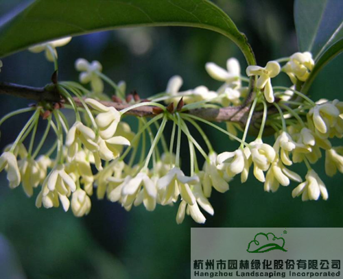 彩运网(中国游)官方网站